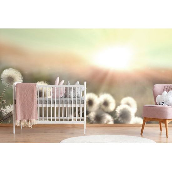 Samolepiaca fototapeta lúka pri východe slnka