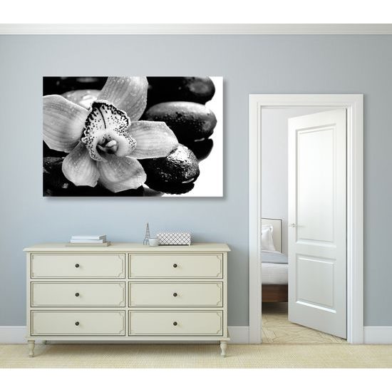 Obraz čiernobiely kvet orchidei