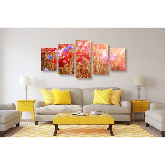 5-dielny obraz lúčne maky na slnečnej lúke