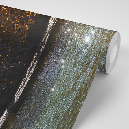 Samolepiaca fototapeta jesenný strom pri jazere