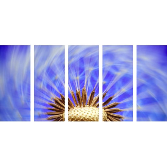 5-dielny obraz čarovná púpava