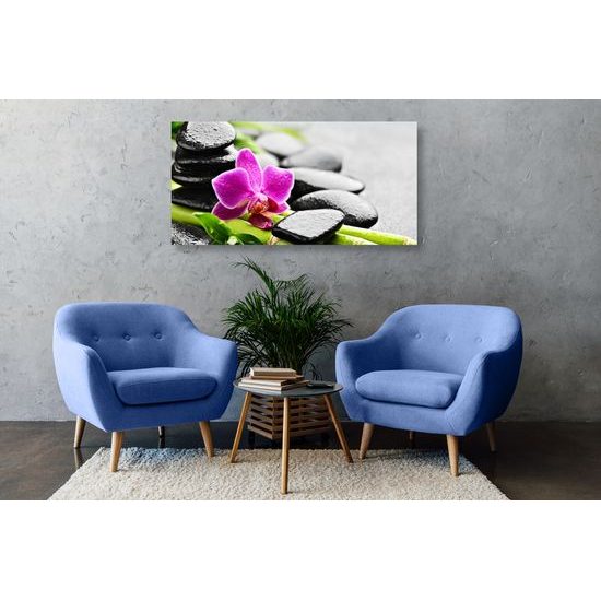 Obraz wellnes zátišie po daždi