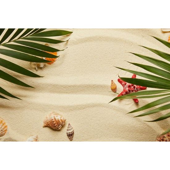 Obraz zákutie pláže