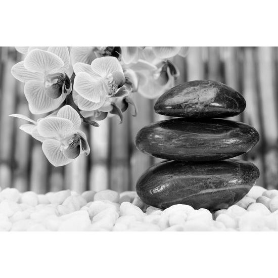 Fototapeta nádherná zen záhrada v čiernobielom prevedení