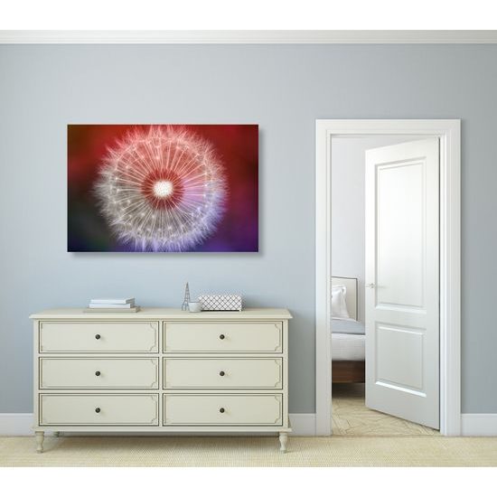 Obraz púpava v nádherných farbách