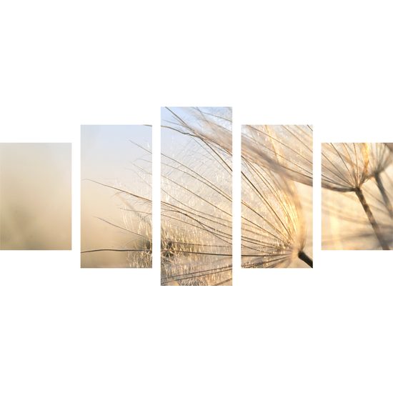 5-dielny obraz dychberúci detail púpavy