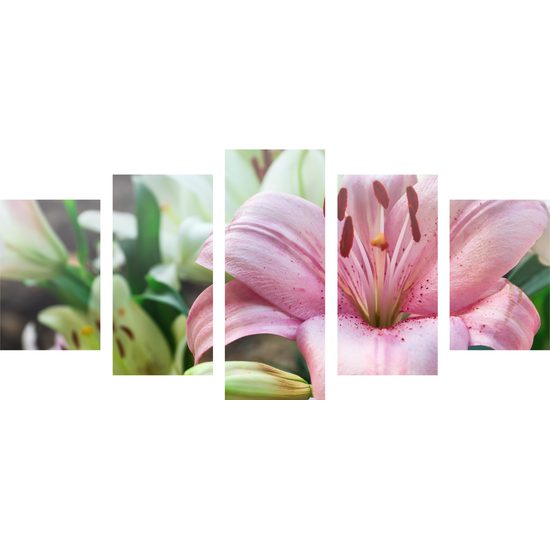5-dielny obraz ľalia dlhokvetá