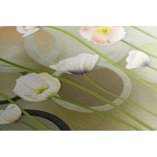 Obraz kvety bieleho maku s abstraktným pozadím