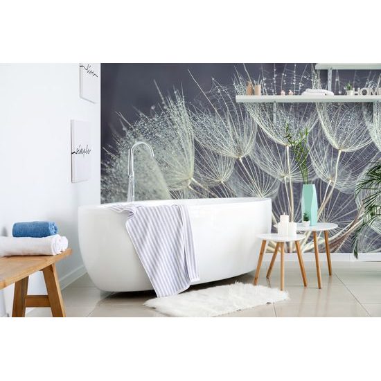 Nádherná samolepiaca fototapeta detail púpavy s kvapkami rosy