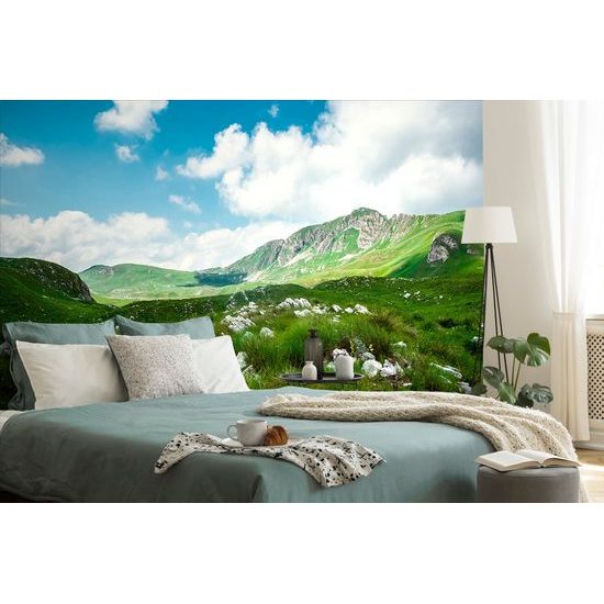 Samolepiaca fototapeta divoká príroda Čiernej Hory