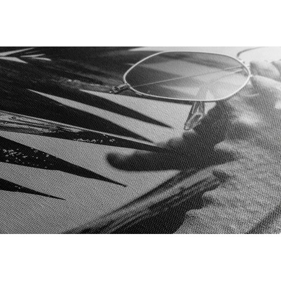 Obraz slnečné okuliare na morskej hviezdici v čiernobielom prevedení