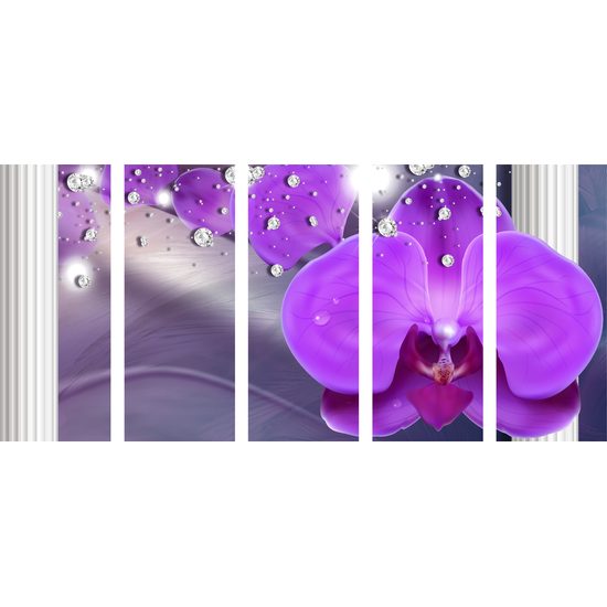 5-dielny obraz luxusná orchidea