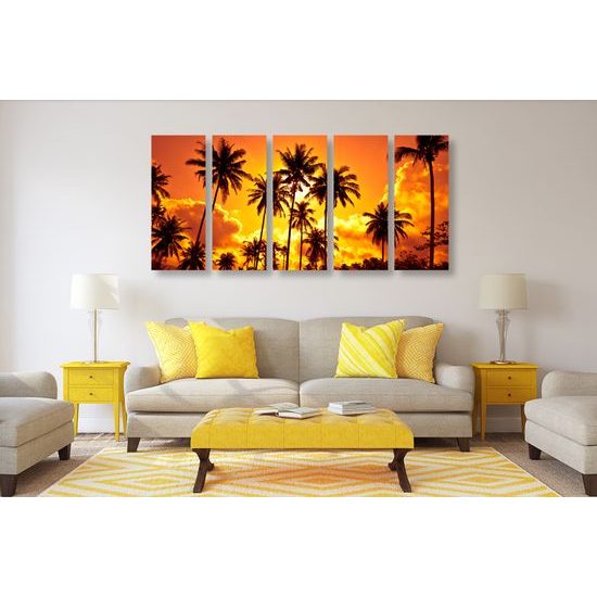 5-dielny obraz kokosové palmy v žiare slnka