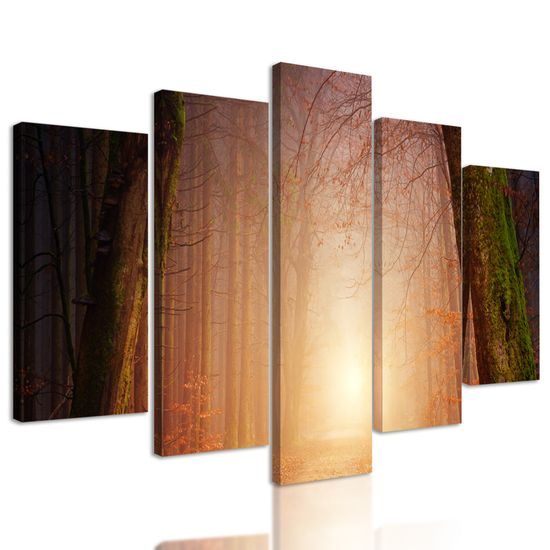 5-dielny obraz východ slnka uprostred lesa
