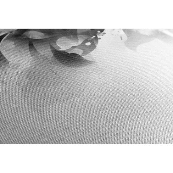 Obraz ženská nežnosť v čiernobielom prevedení