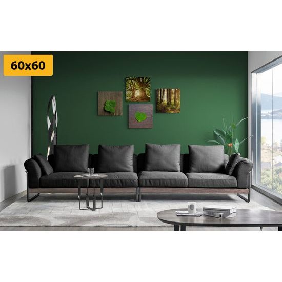 Set obrazov sila prírody