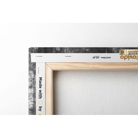 Obraz slnko vykúkajúce pomedzi stromy v čiernobielom prevedení