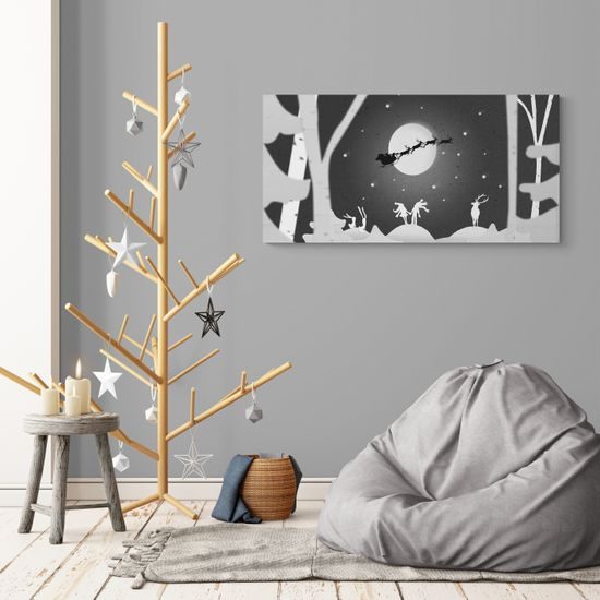 Obraz soby na oblohe v čiernobielom prevedení