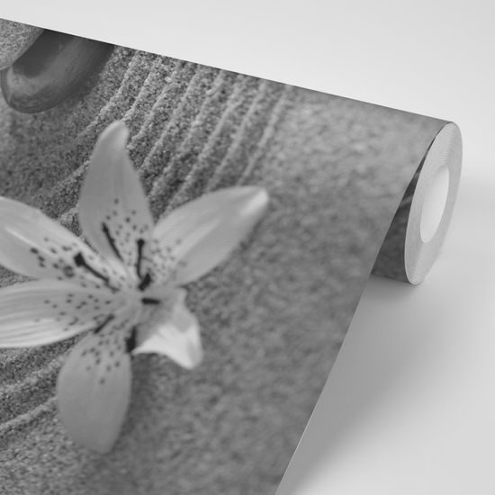 Samolepiaca fototapeta čiernobiela zen záhrada s kameňmi a kvetmi