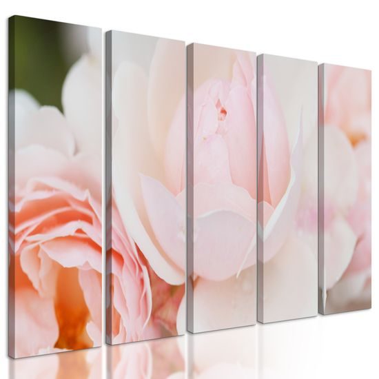 5-dielny obraz pôvabné ruže