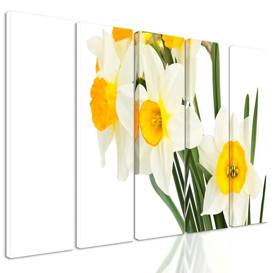 5-dielny obraz jemné jarné narcisy