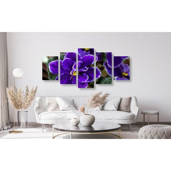 5-dielny obraz kvitnúca fialka