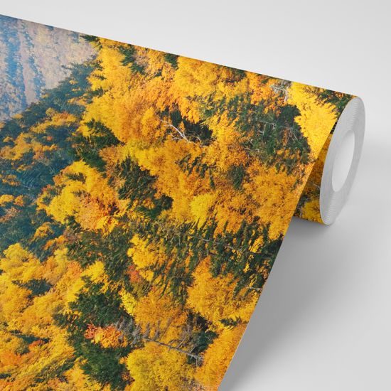 Očarujúca fototapeta jesenná príroda