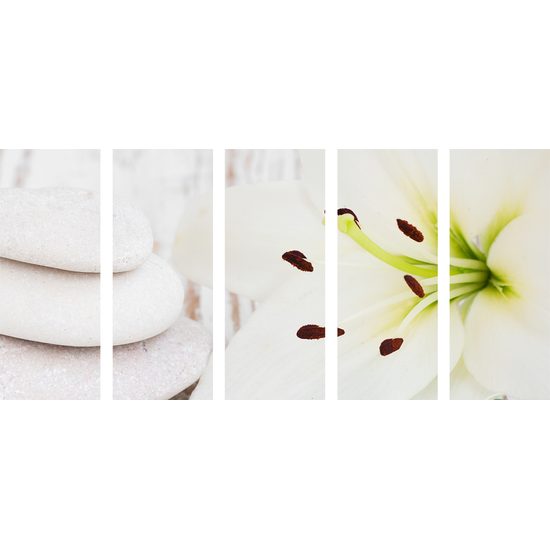 5-dielny obraz Feng Shui zátišie