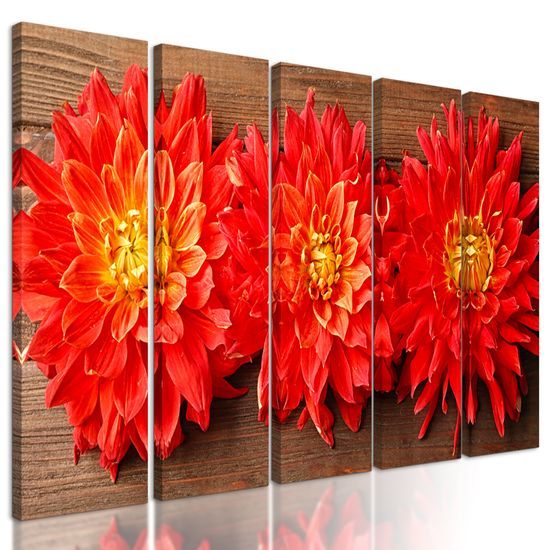 5-dielny obraz kvety nežnej dálie na drevenom pozadí