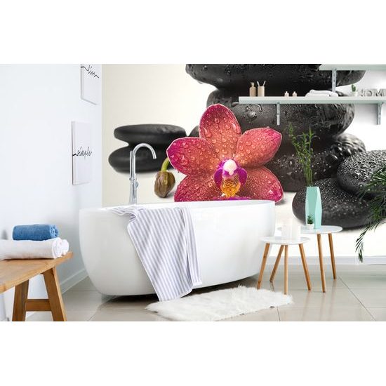 Tapeta červená orchidea so zen kameňmi