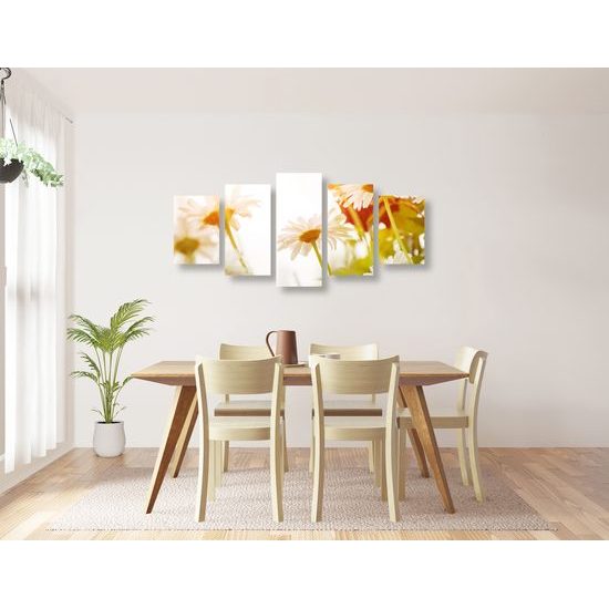5-dielny obraz kvety na slnečnej lúke