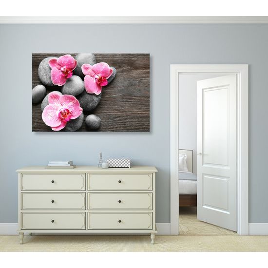 Obraz kvety orchidei na drevenom pozadí