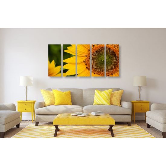 5-dielny obraz detail slnečnice