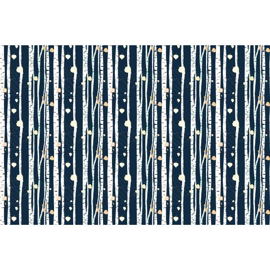 Samolepiaca tapeta tajomné brezy v mesačnom svetle