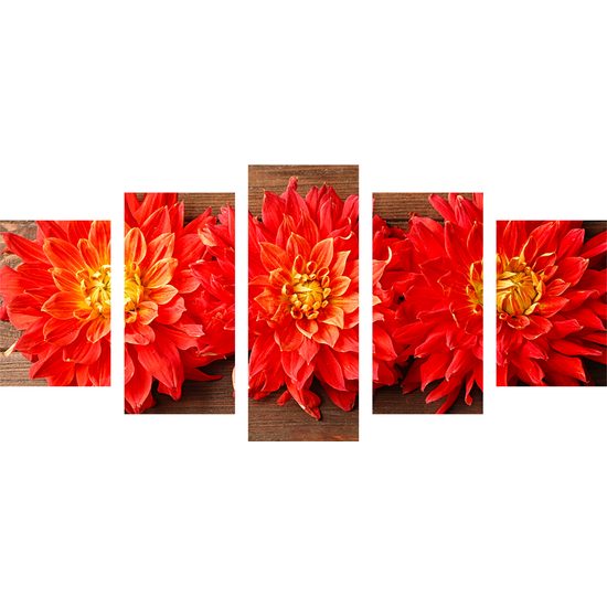 5-dielny obraz kvety nežnej dálie na drevenom pozadí