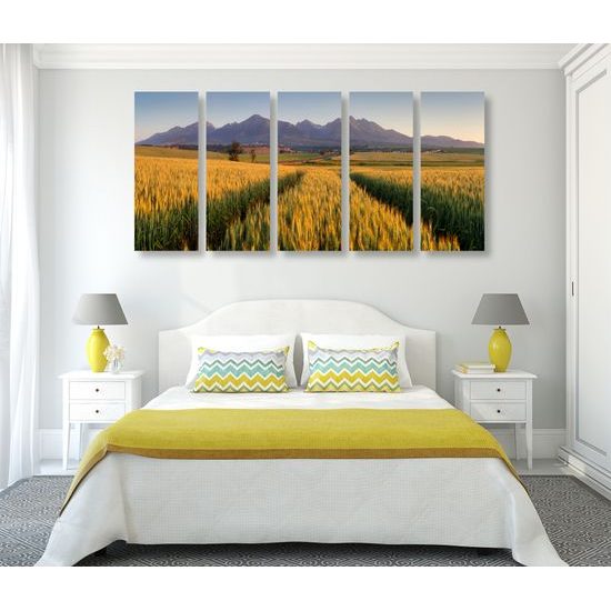 5-dielny obraz nekonečné polia