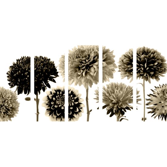 5-dielny obraz nádherné dálie v sépiovom prevedení