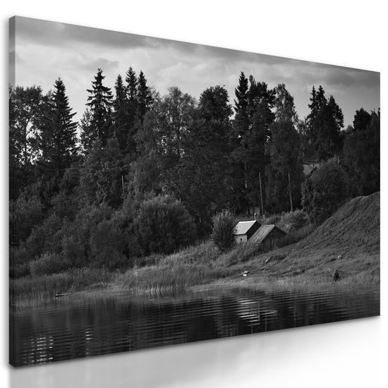 Obraz ukľudnujúca príroda v čiernobielom prevedení