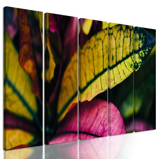 5-dielny obraz tropické listy