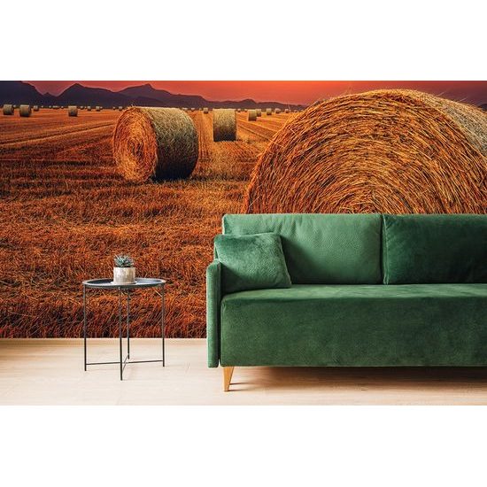 Fototapeta pole s balíkmi sena