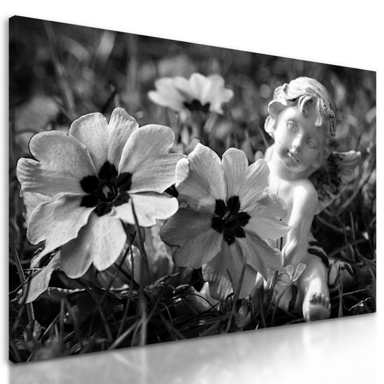 Obraz anjel na rozkvitnutej lúke v čiernobielom prevedení