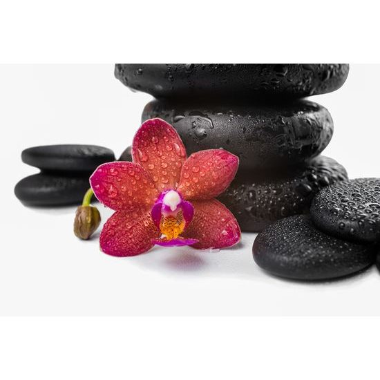 Samolepiaca tapeta červená orchidea so zen kameňmi