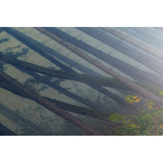 Obraz les zaliaty hmlou