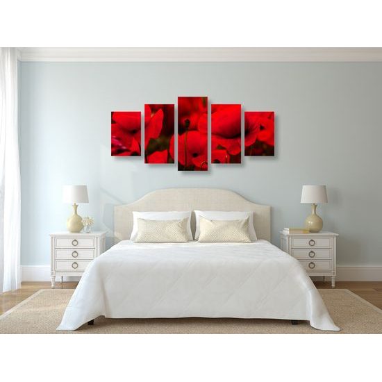 5-dielny obraz jedinečné divé maky