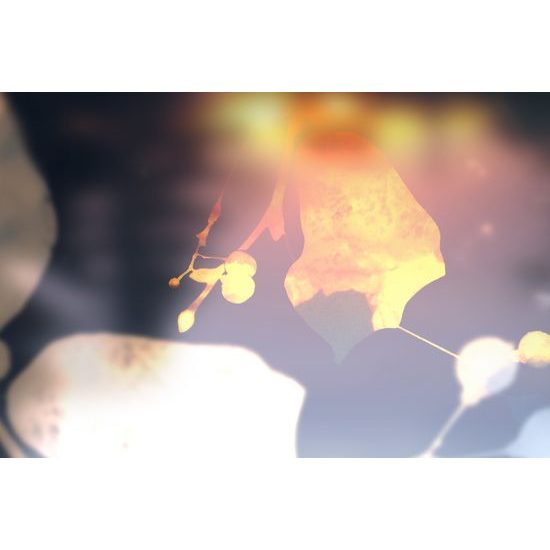 Obraz zaujímavý list lipy