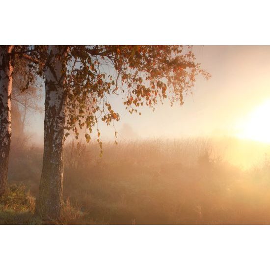 Fototapeta hmlisté ráno