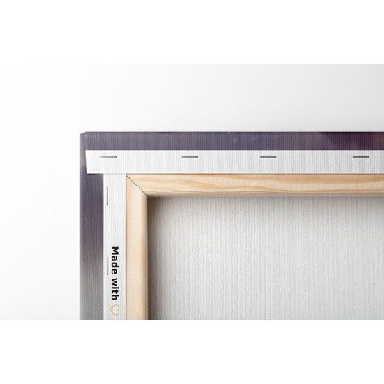 Obraz čarovná krajina v snežítku