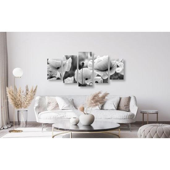 5-dielny obraz jedinečné divé maky v čiernobielom prevedení