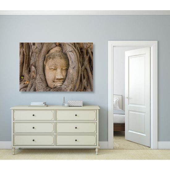 Obraz Budha obrastený stromom