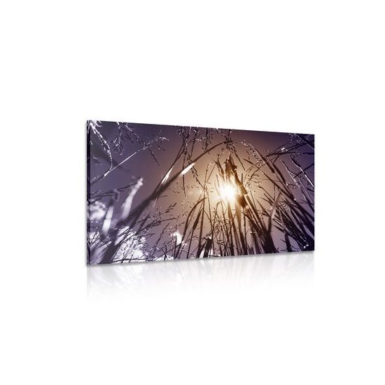 Obraz lúka v umeleckom prevedení